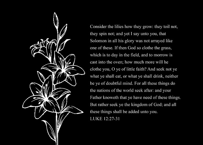 Luke 12 27 31