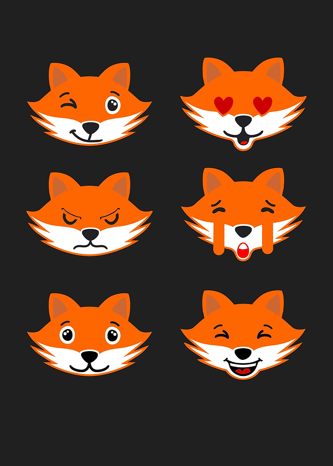 Fox Foxes Gift