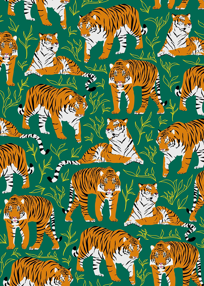 Majestic bengal tigers
