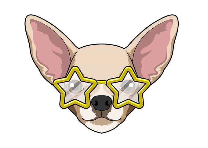 Dog Sunglasses