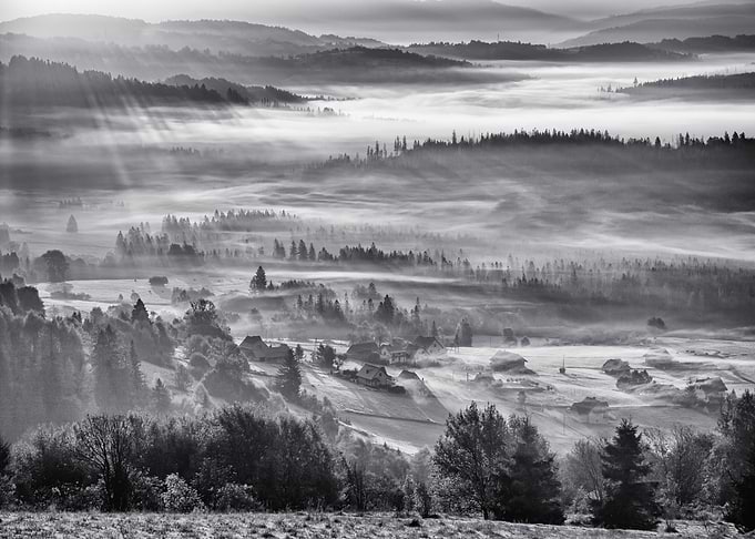 Autumn sunrise, foggy, B&W