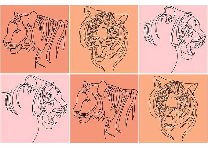 Tiger line art
