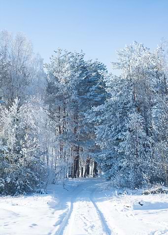 Winter 6