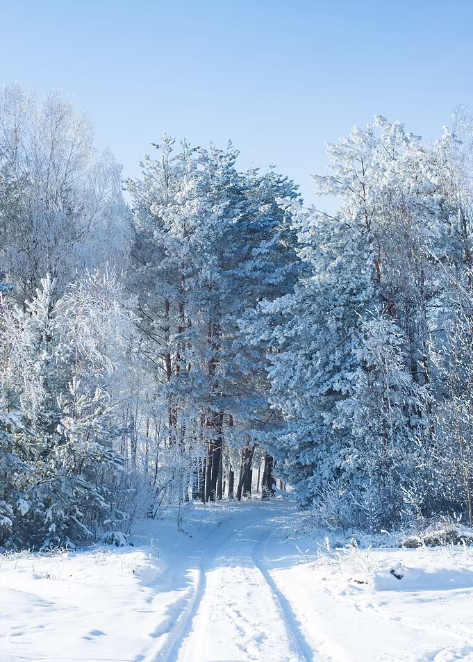 Winter 6