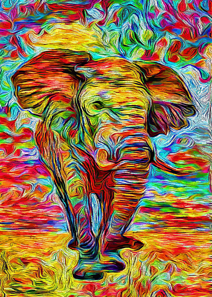 Elephant Rainbow Art
