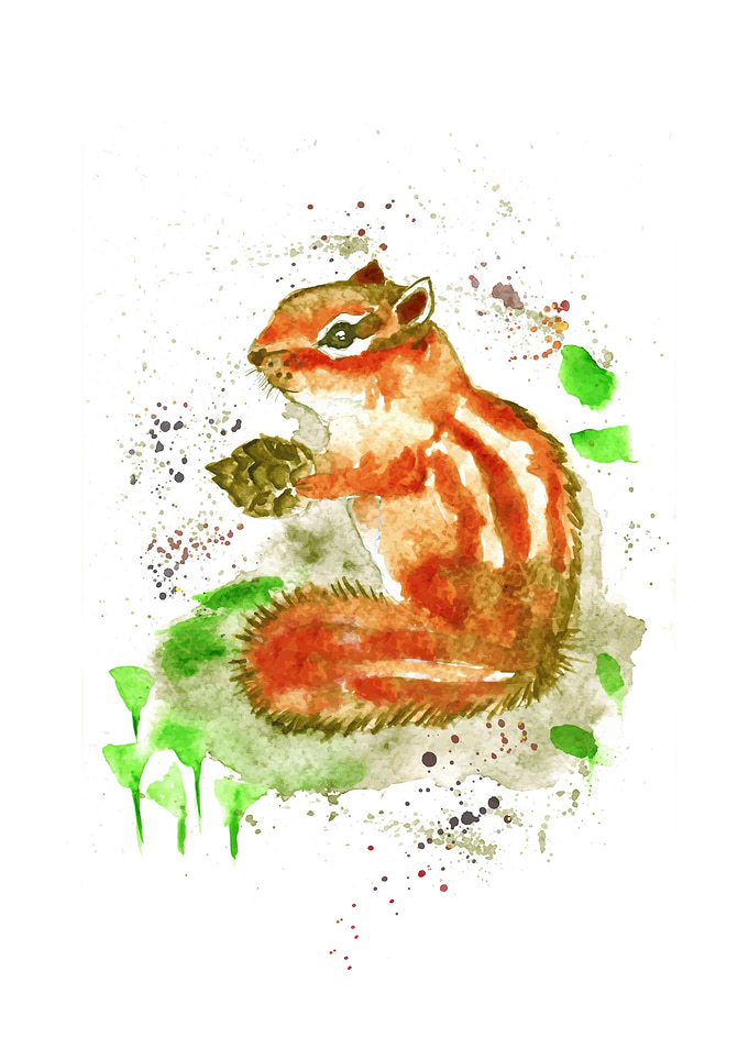 Chipmunk