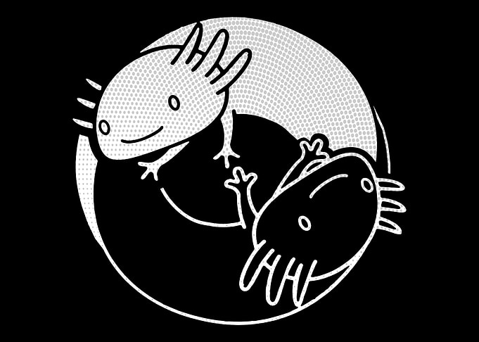 Ying Yang Axolotl