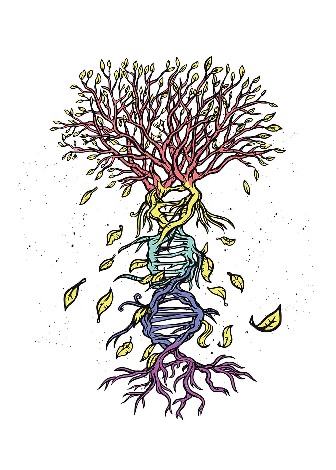 DNA tree of life