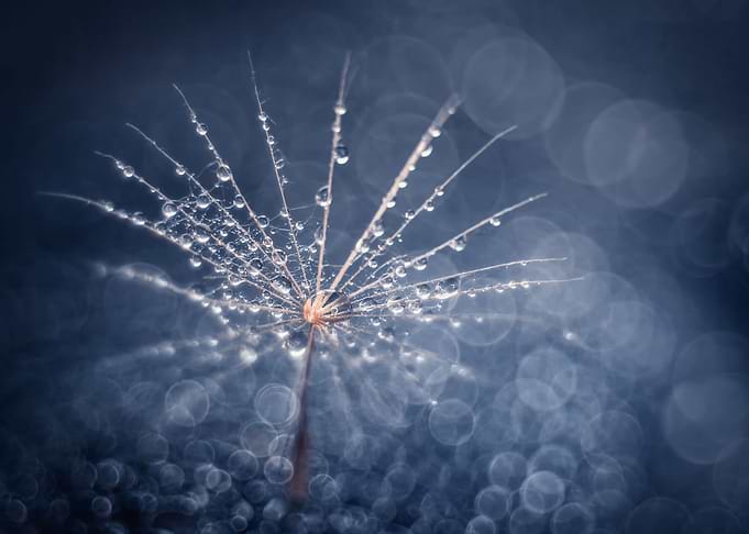 Blue decoration with drops