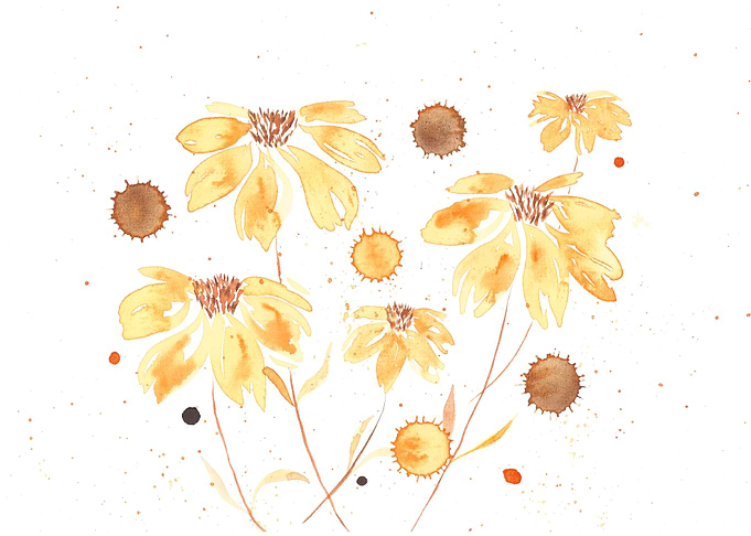 Painting of daisies and su