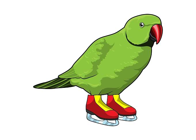 Parrot Ice skating Sports