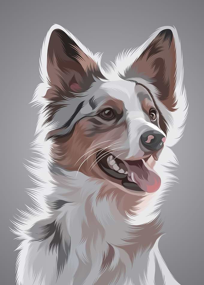 Dog 8