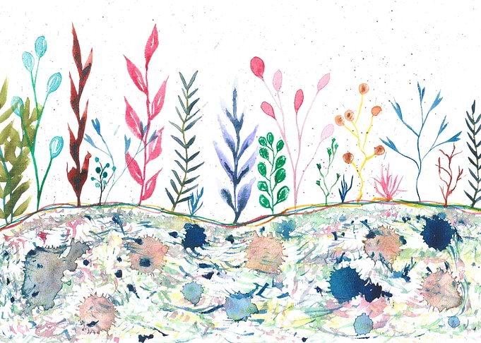 Garden of abstract plants