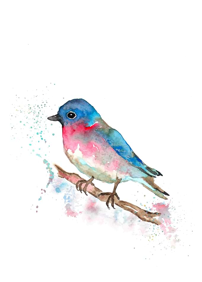Bluebird on branch