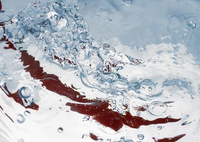 Pepperoni in water 2