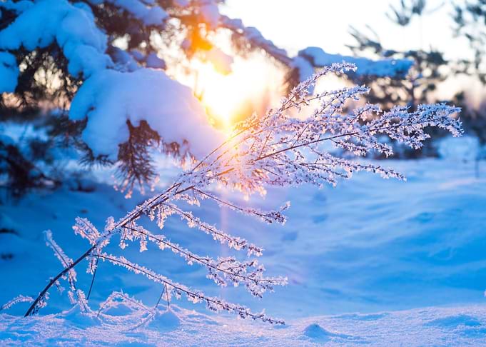 Winter 5