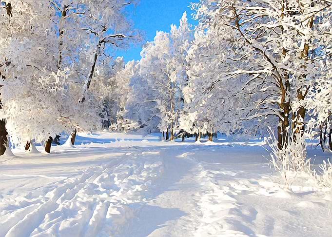 Winter Landscape