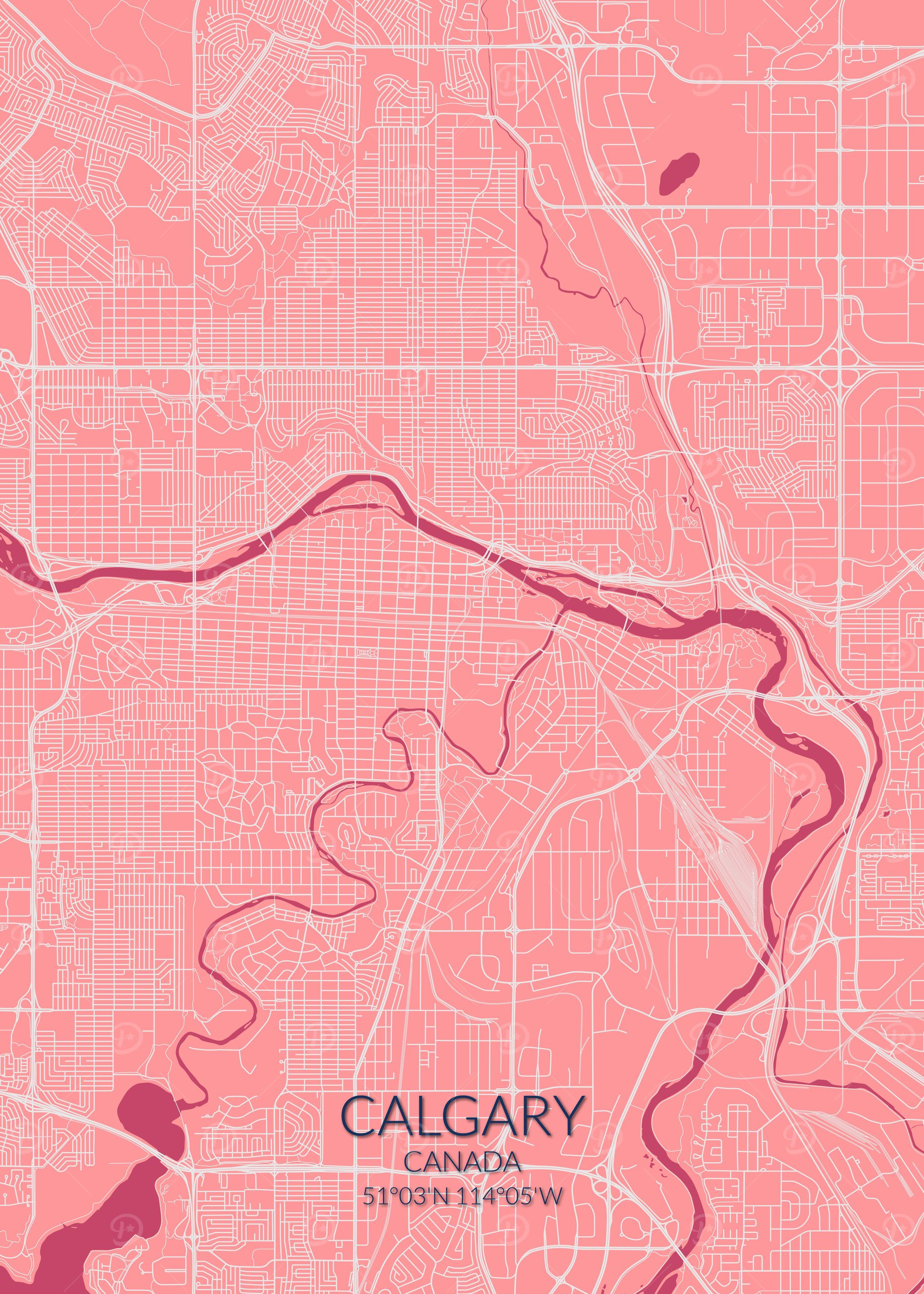 Calgary Pink Rose Map