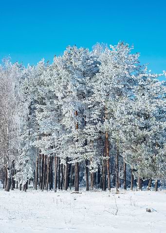 Winter 1