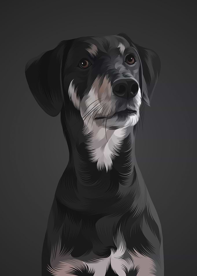Dog 10