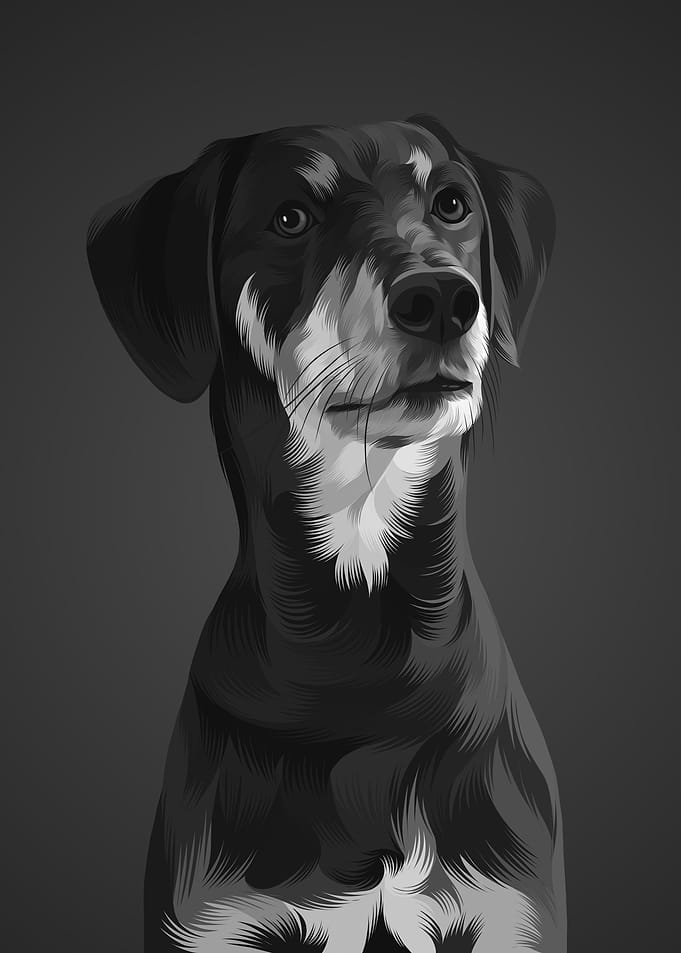 Dog 9