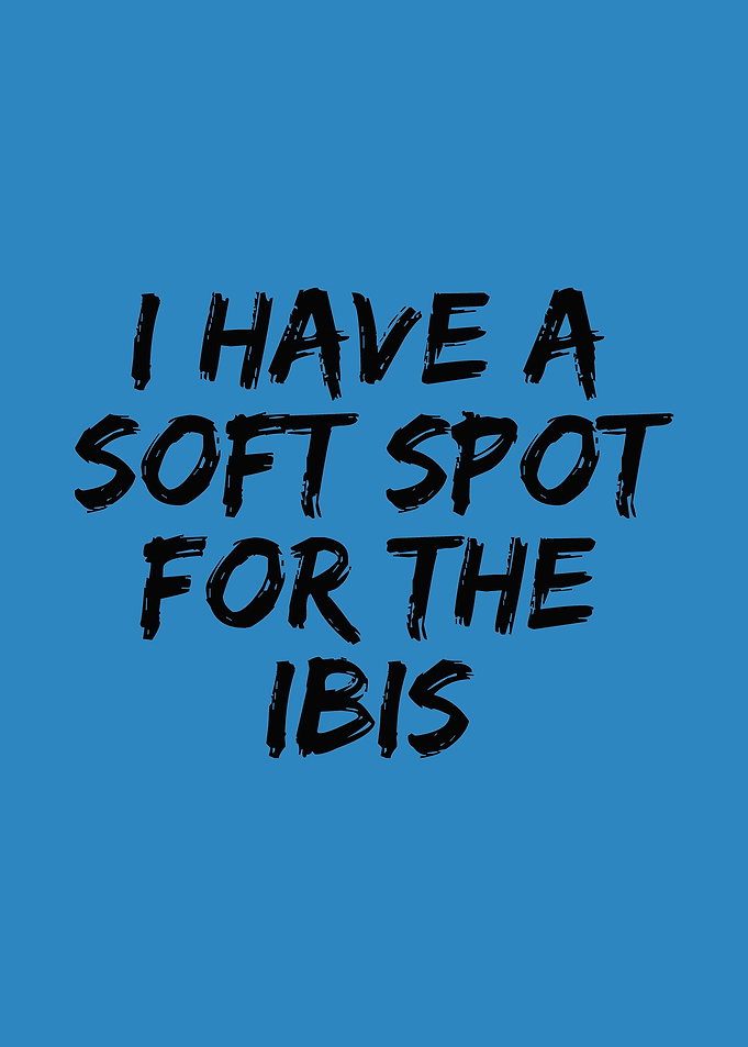Soft spot for the ibis