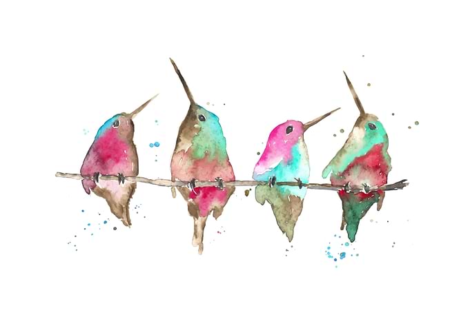 Hummingbirds on branch