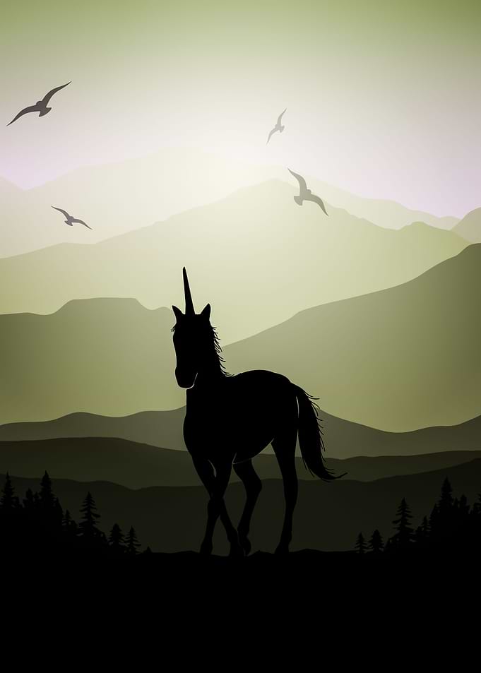 Horse Unicorn Animal