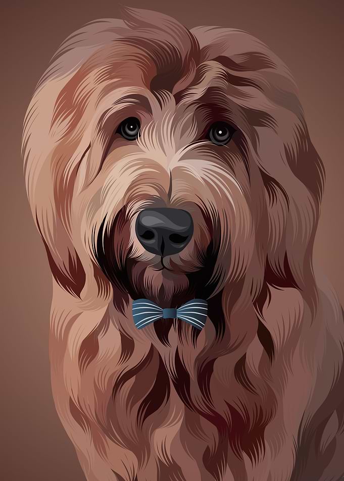 Dog 13