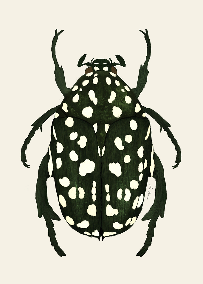 Green Beetle