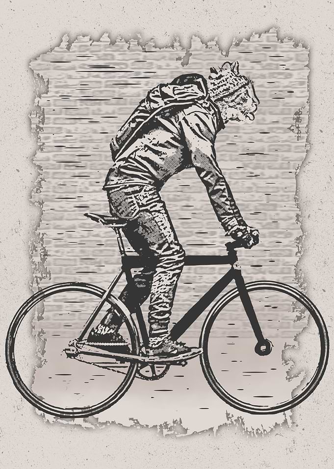 Bike Punk
