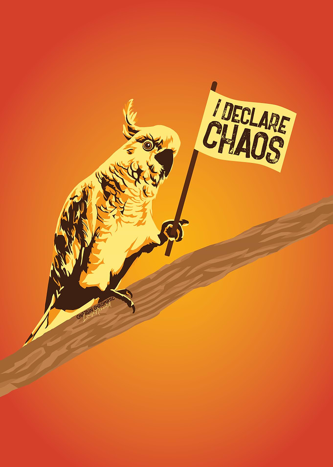 I declare chaos Cockatoo