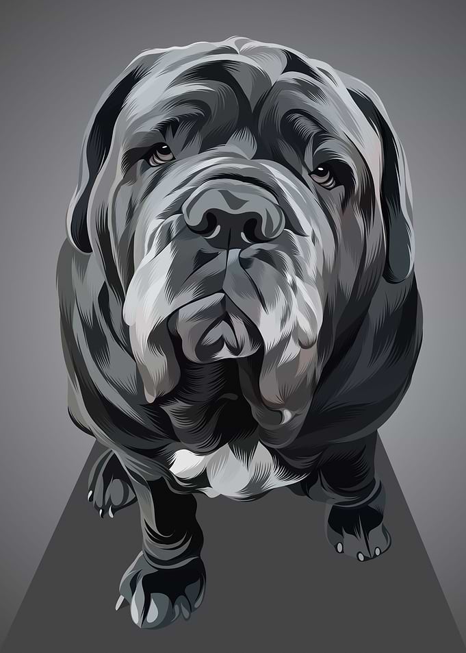 Dog 12