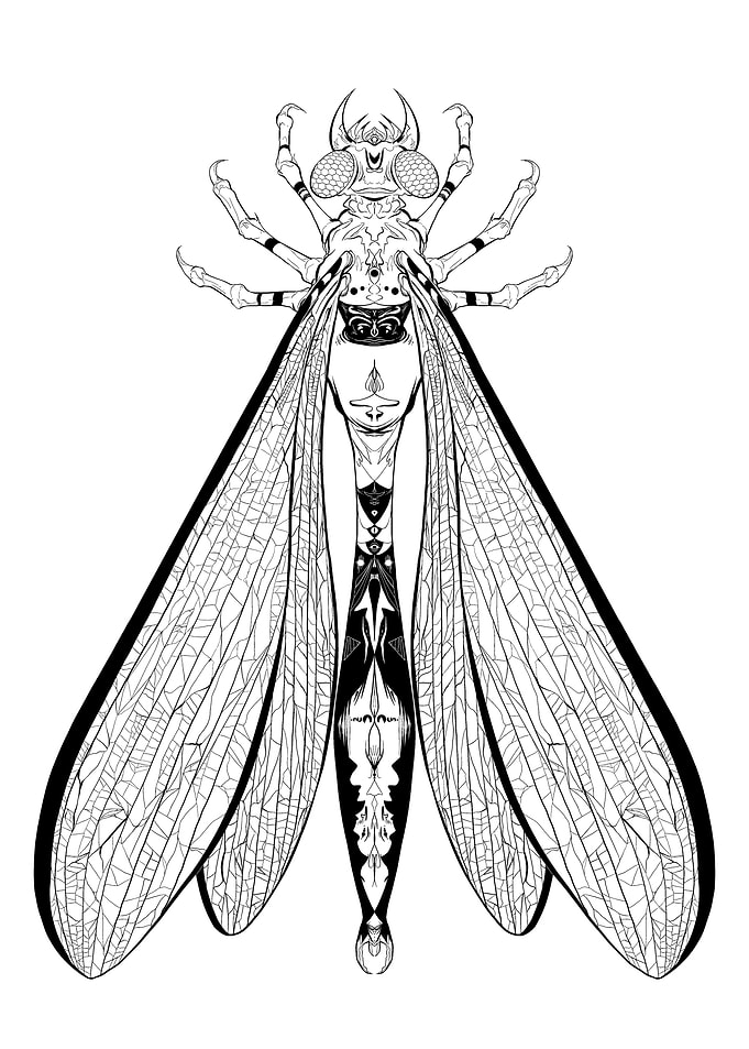 Damselfly