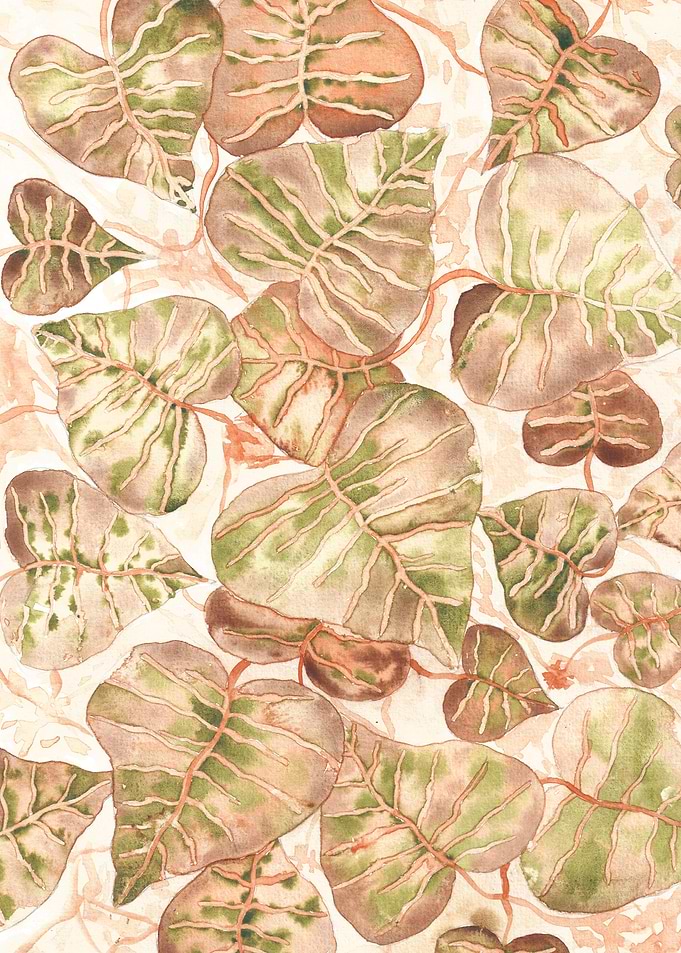 Pastel Monstera Deliciosa