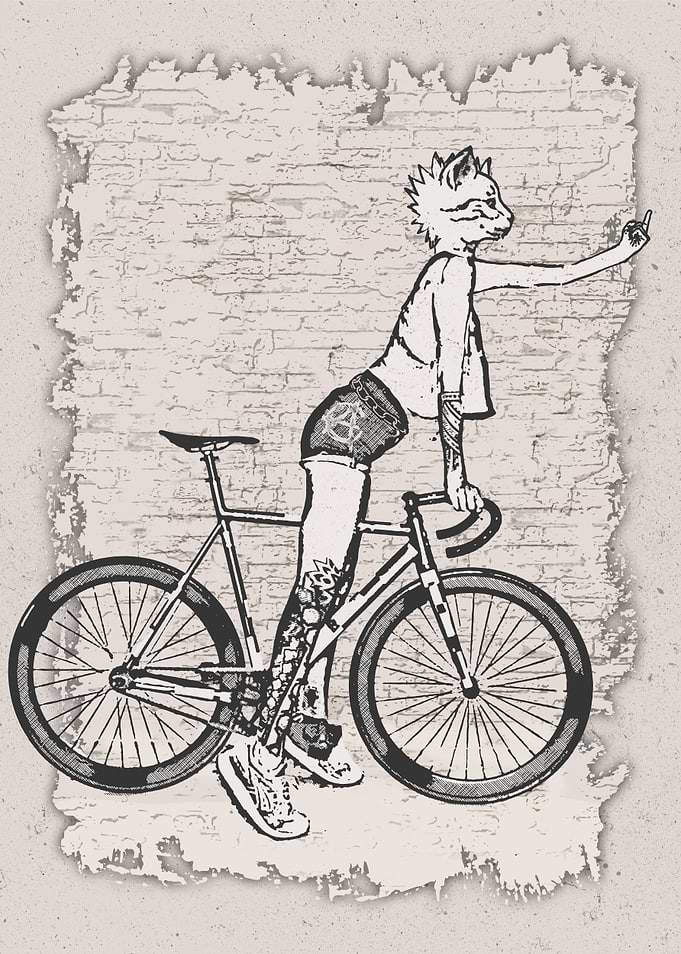 Bike Punk