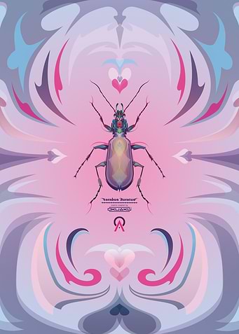 Carabus Auratus