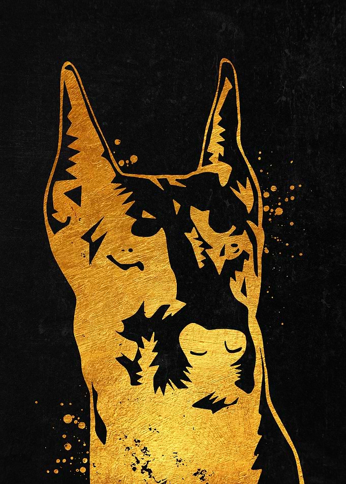 Doberman Portrait