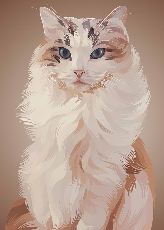 Cat 9