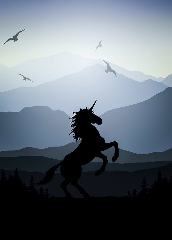 Horse Unicorn Animal