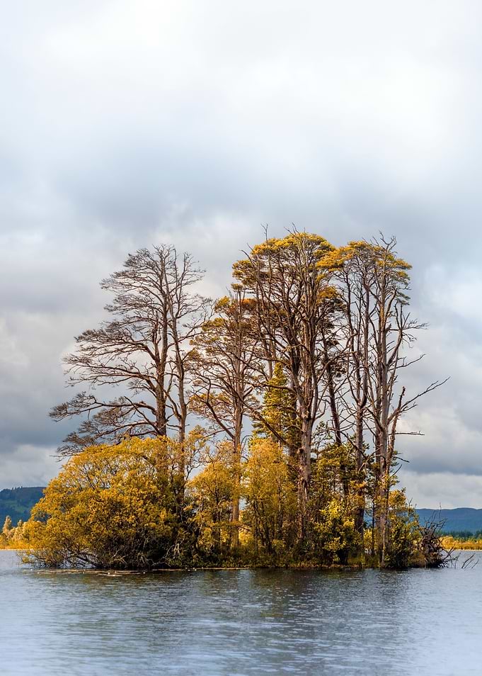 Amazing Scotland