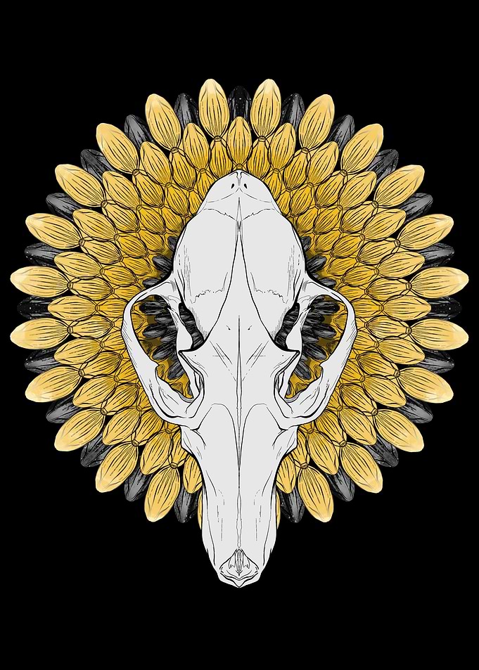 Fox Skull in Sunflower
