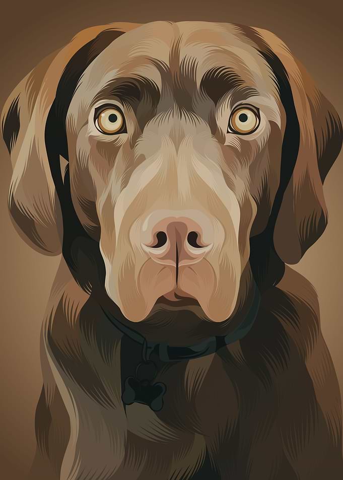 Dog 13