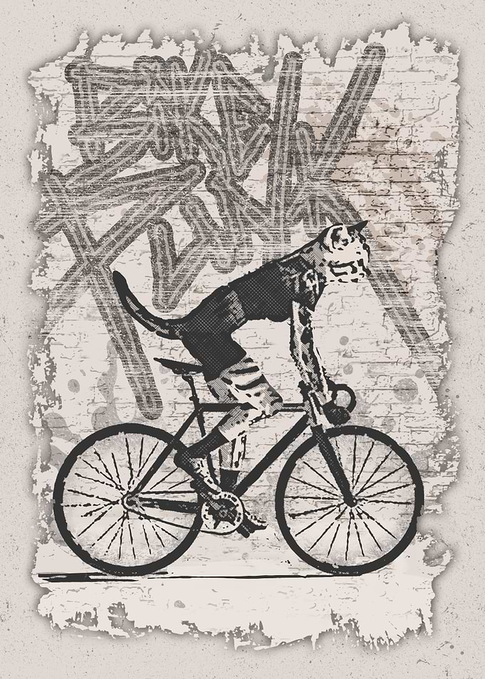 Bike Punk