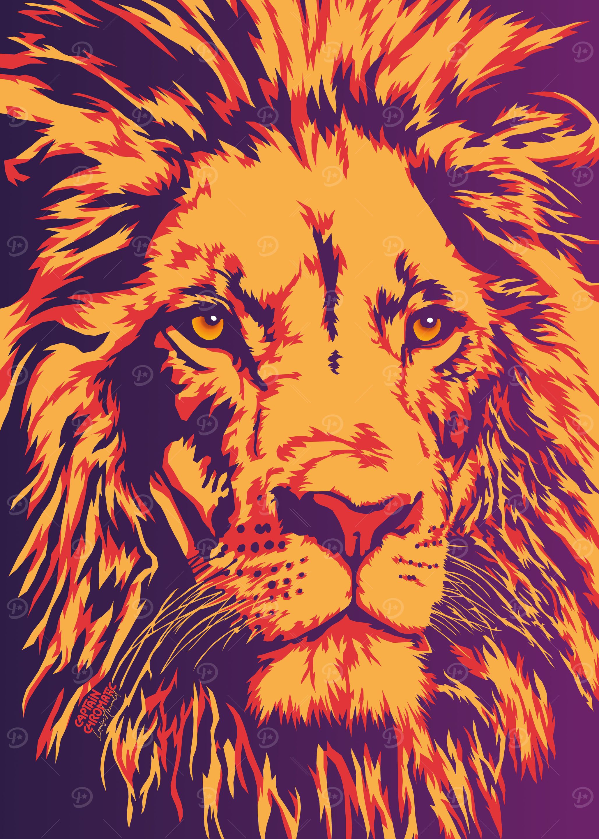Lion closeup