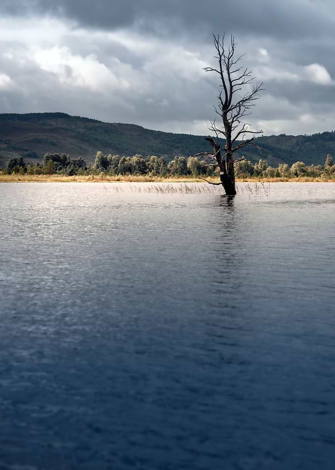 Amazing Scotland