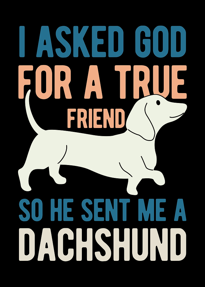 Funny Dachshund