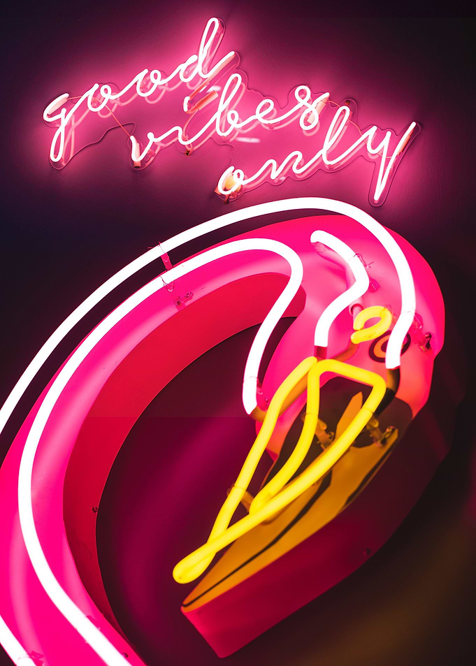 Flamingo Vibes