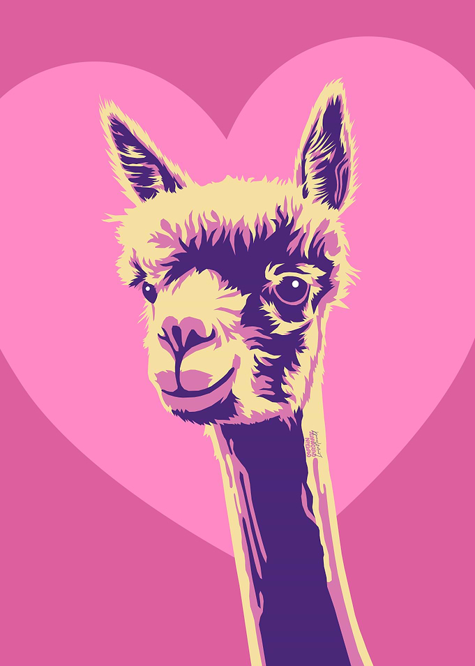 Alpaca luv