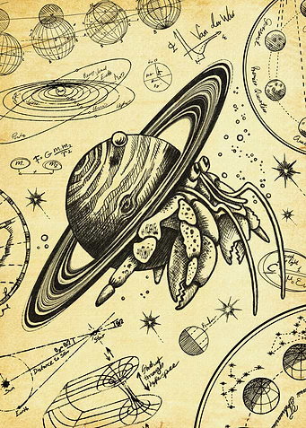 Astronomy Hermit Crab